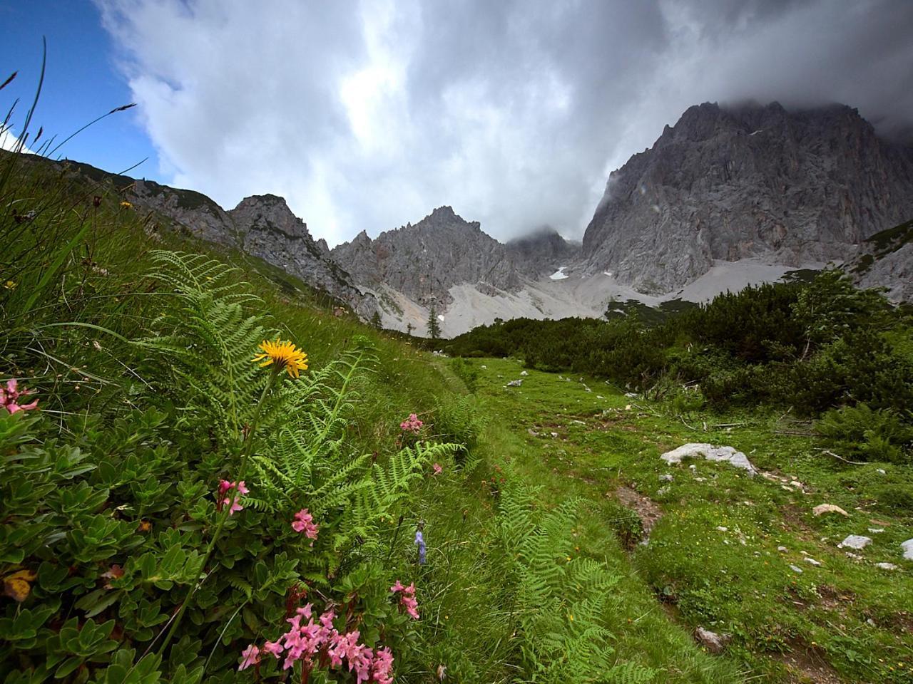 Eisbacherhof Schladming Dış mekan fotoğraf